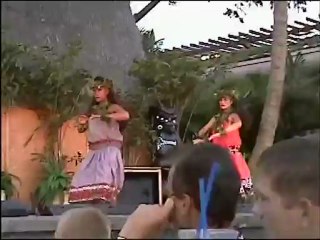 Transfer Mini DVD to DVD - Orange County, CA 949.458.8944