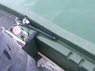 broc de 98 au metal jig !