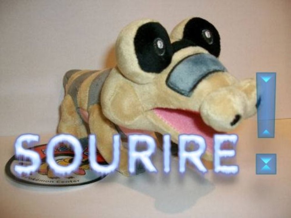 Pokémon Noir 2 // 09 // Le miracle du SOURIRE !