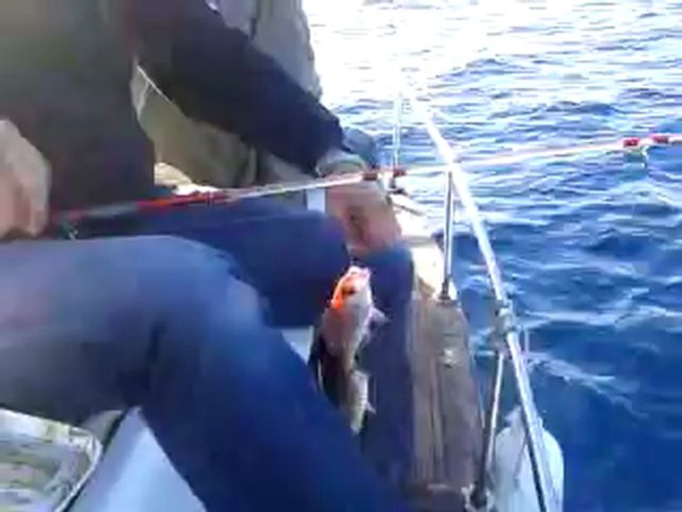03 KASIM 2012 VİDEO