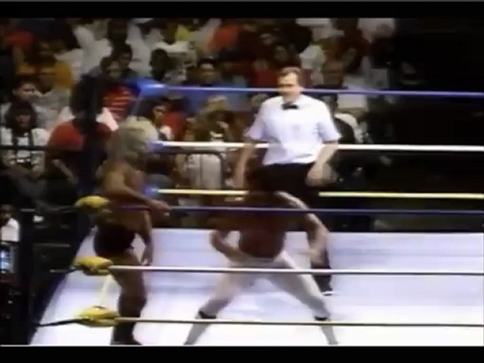 Ricky Steamboat vs Ric Flair part 1 of 2 video Dailymotion