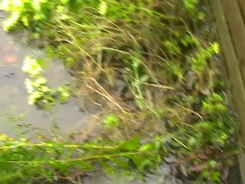 Inondation du 3 nov 2012 vers 10h