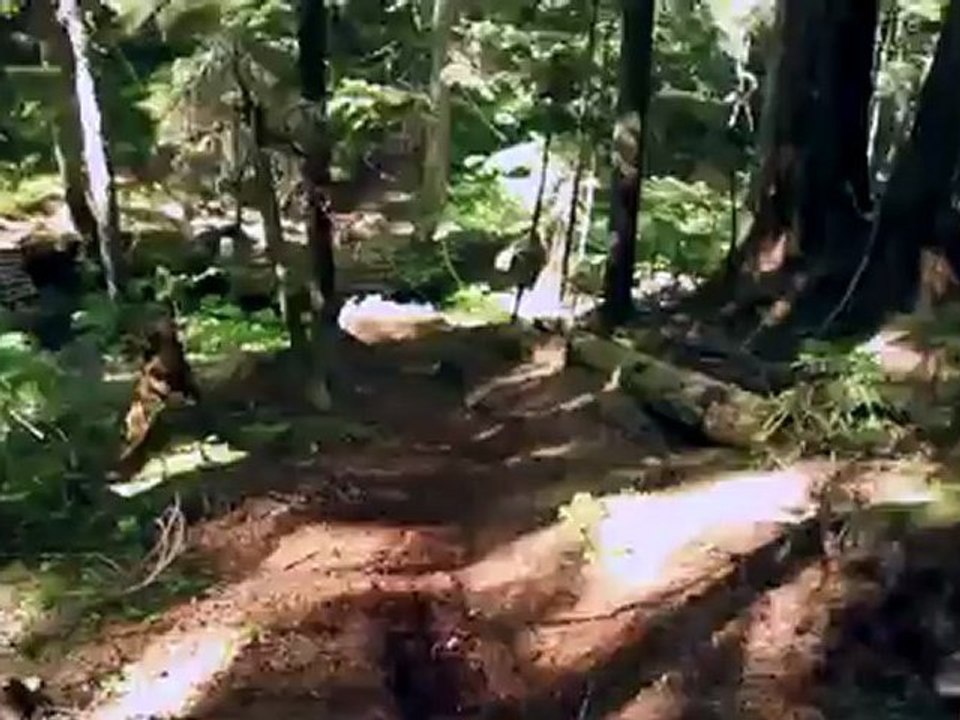 SRAM - Reece Wallace - Versatility