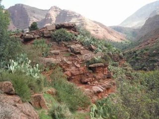 Rando Ourika avec Brahim