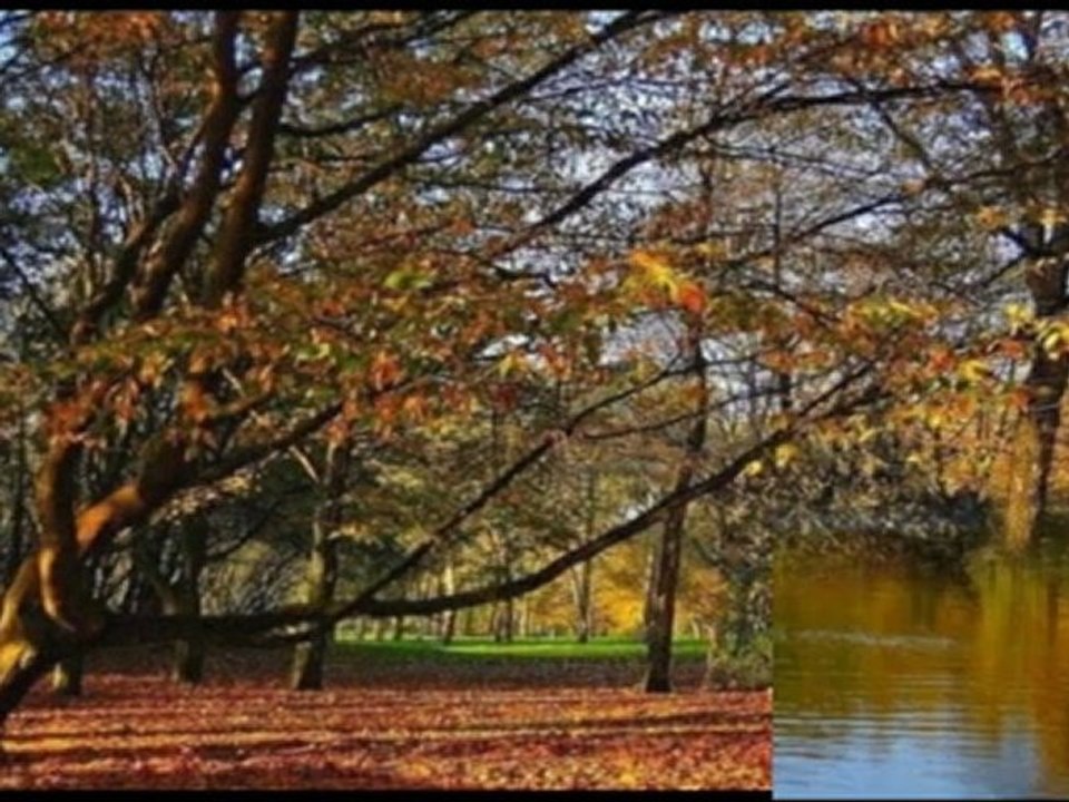 L'Automne et La Nature~1