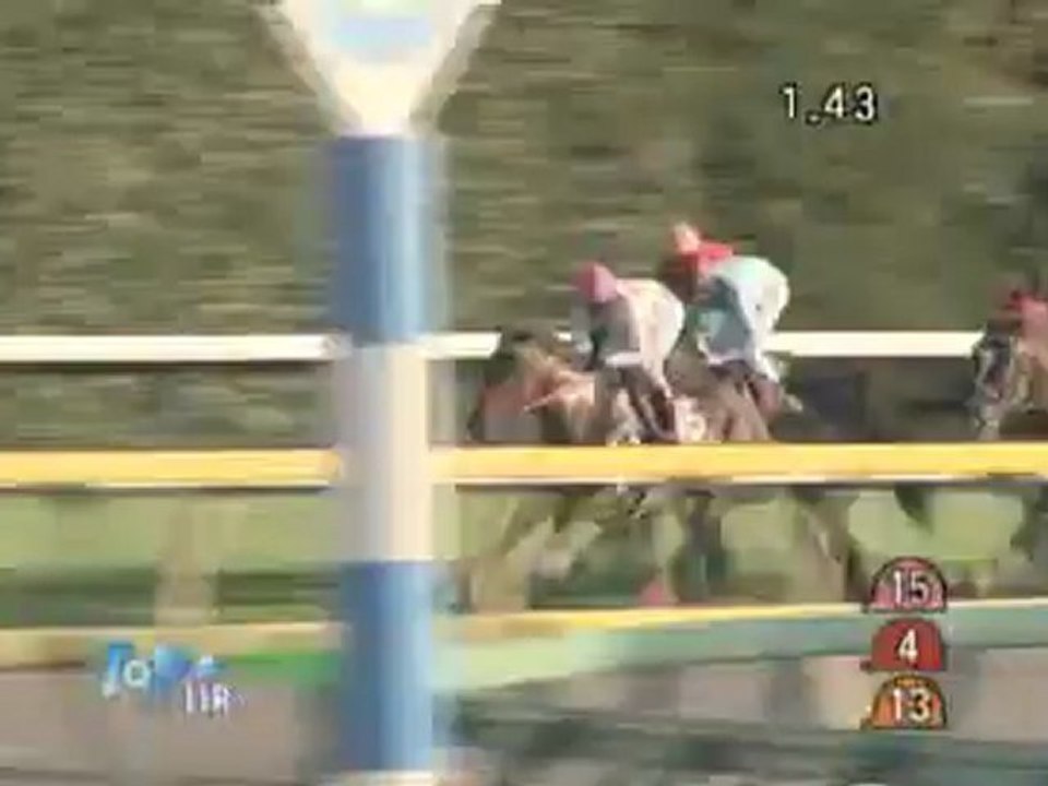 強運馬券 競馬 2012年 第50回 アルゼンチン共和国杯(ＧＩＩ) 動画