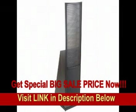 MartinLogan Purity Fully-Powered Hybrid Electrostatic Loudspeaker (Single, Black) REVIEW