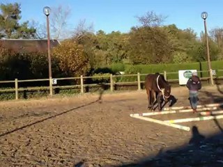 rocco jeu liberte carriere1