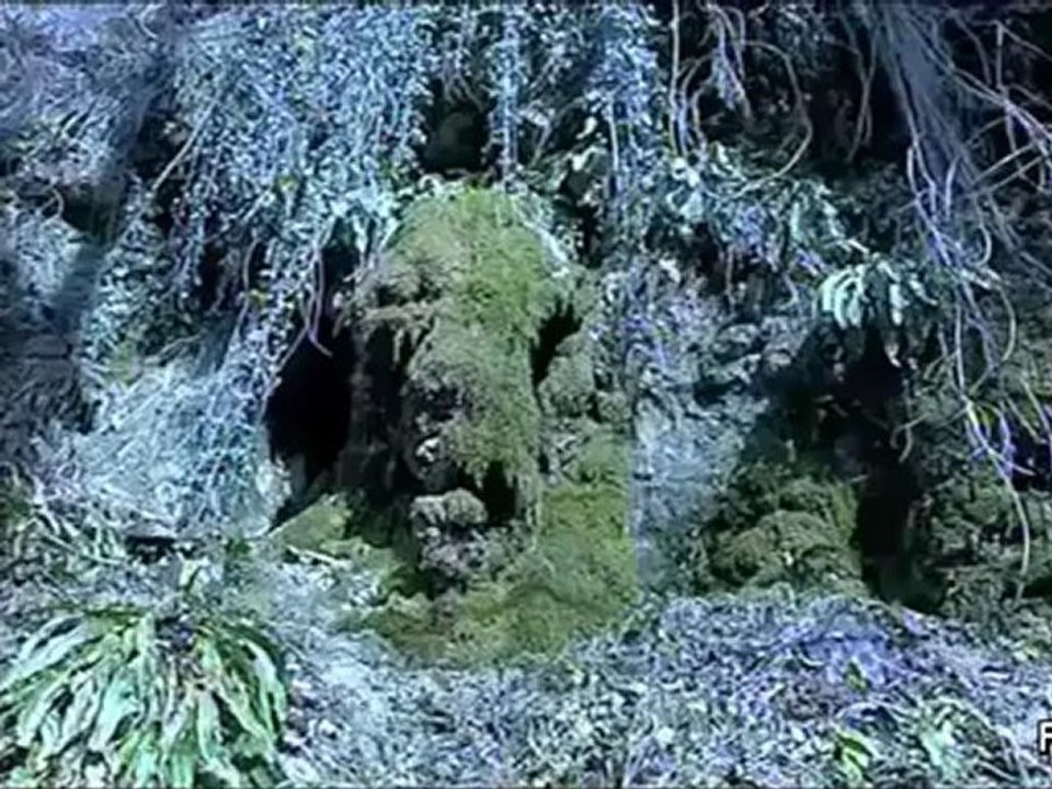La Vouivre