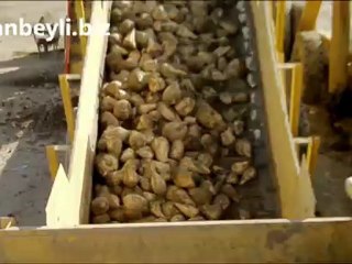 Konyaşeker Cihanbeyli 2012 Sezonu Pancar Alımı(www.cihanbeyli.biz)