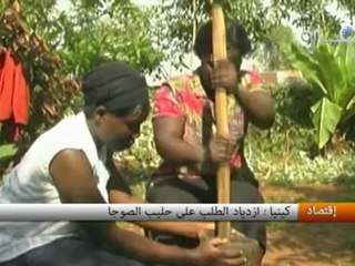 كينيا : إزدياد الطلب على حليب الصوجا