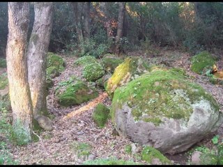 s'otu de sisinni garau