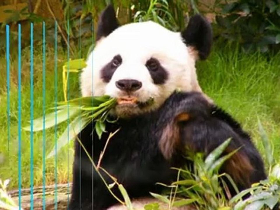 Mindset of Millionaires