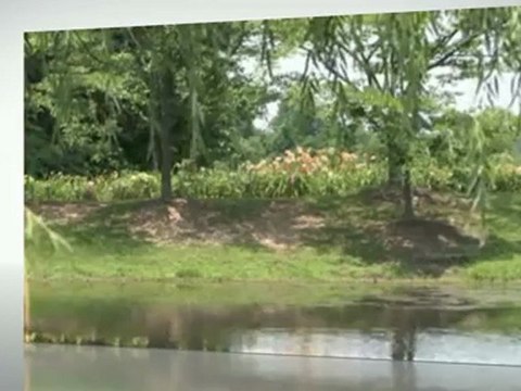 The Preserve Homes For Sale 303-619-7793