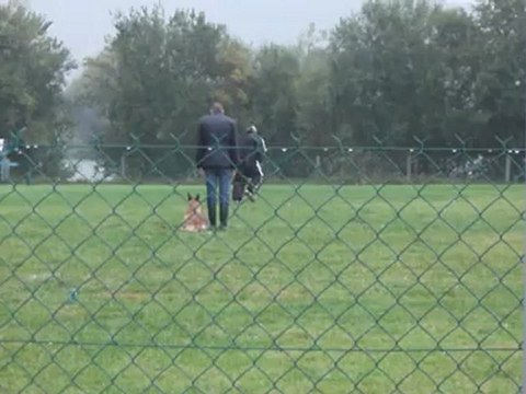 La face avec Gaspar des deux sabres au concours de Pont Audemer