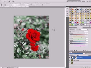 урок фотошопа 'КРАСНАЯ  РОЗА'.
