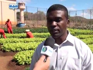 Agro Mais do dia 02-11-2012