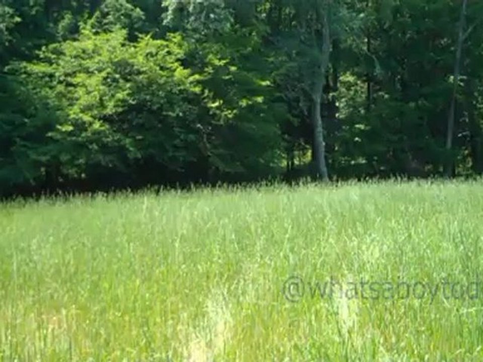 30 Seconds of Peace: The Field