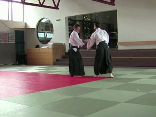 Gyaku-Hanmi Katate-Dori Hiji kime osae