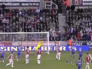 Amir Begovic - All Saves & Skill 2010-2011 (Stoke City FC)
