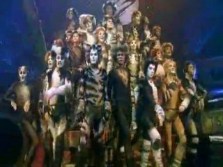 Broadway Musical - Cats