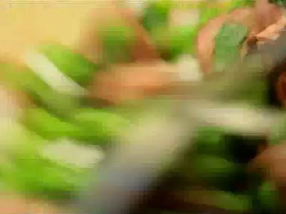 Bien déjeuner dans ma boîte - Petits pois vinaigrette au canard et à la menthe fraîche