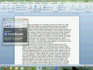 Mettre en page en colonne - Word