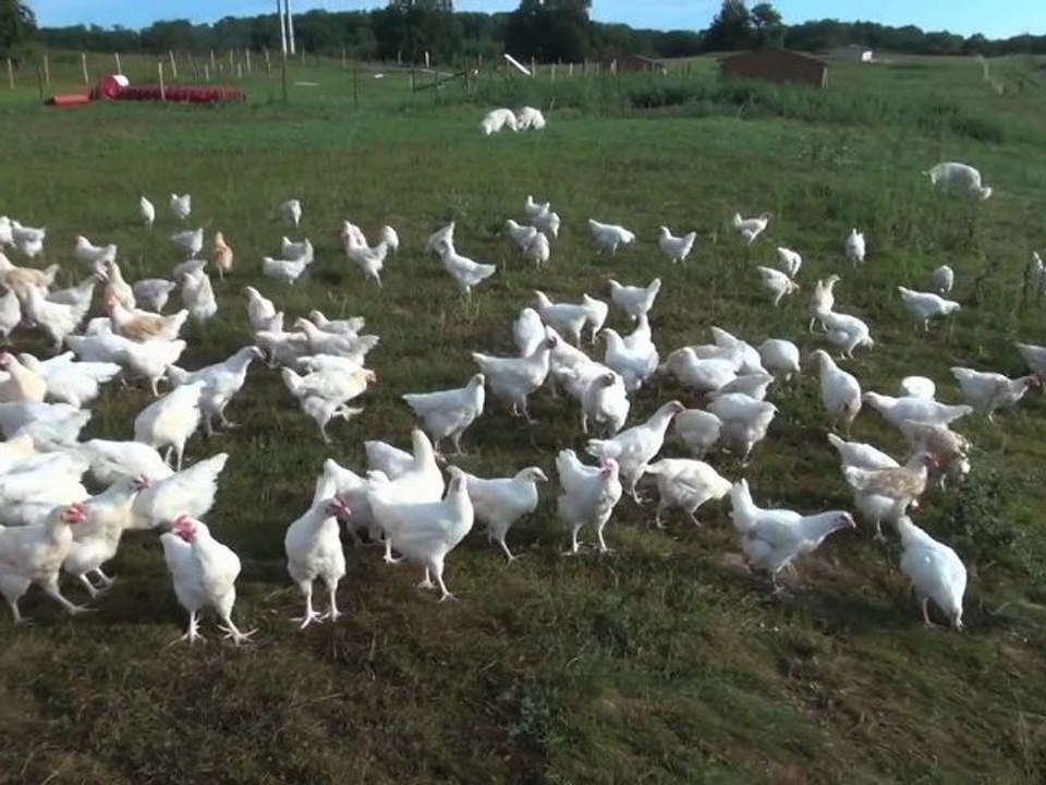 La ferme de Valuisant