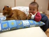 Kedinin Kuyruğunu Isıran Bebeğin Eğlenceli Sahneleri