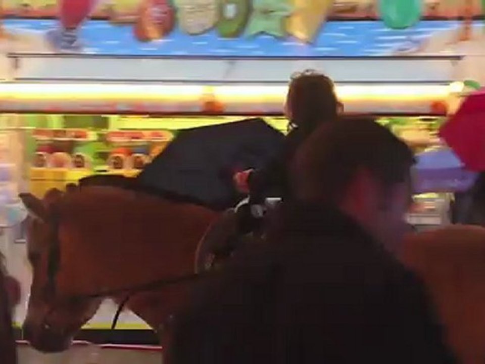 Horsing around