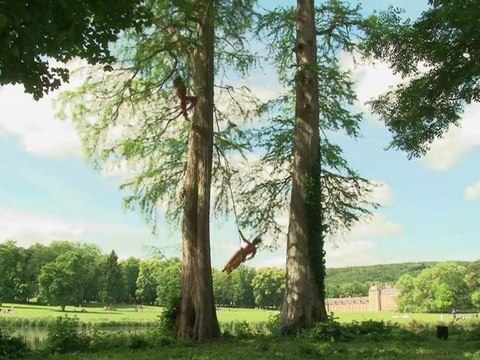 Présences Déracinées, Cie Geneviève Mazin, Chamarande.