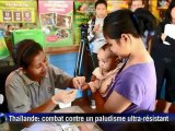 Thaïlande: le combat contre un paludisme ultra-résistant