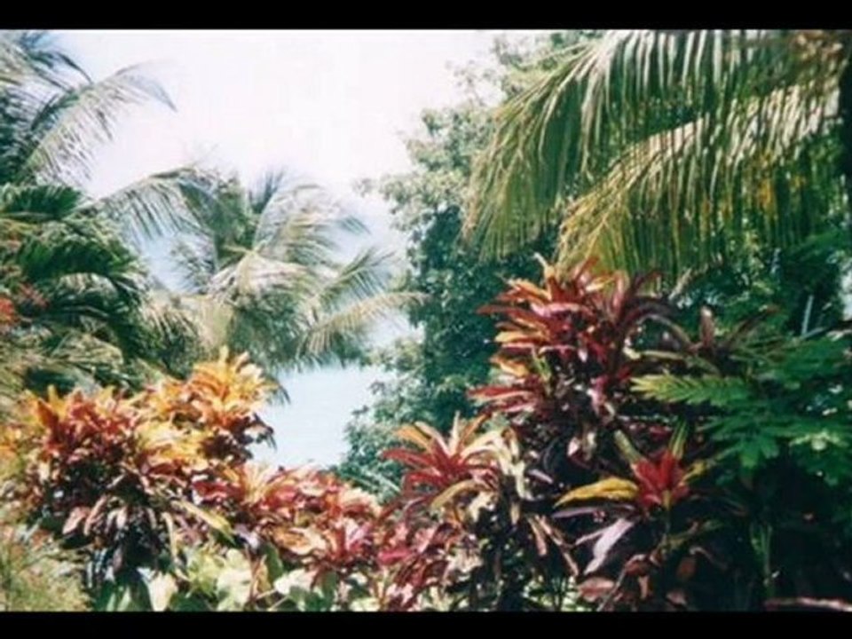 Vidéo paysages de la Guadeloupe Antilles