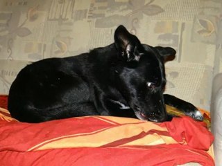 die kleinen sagen Danke