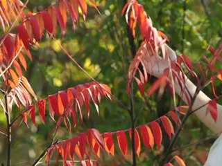 13 октября 2012