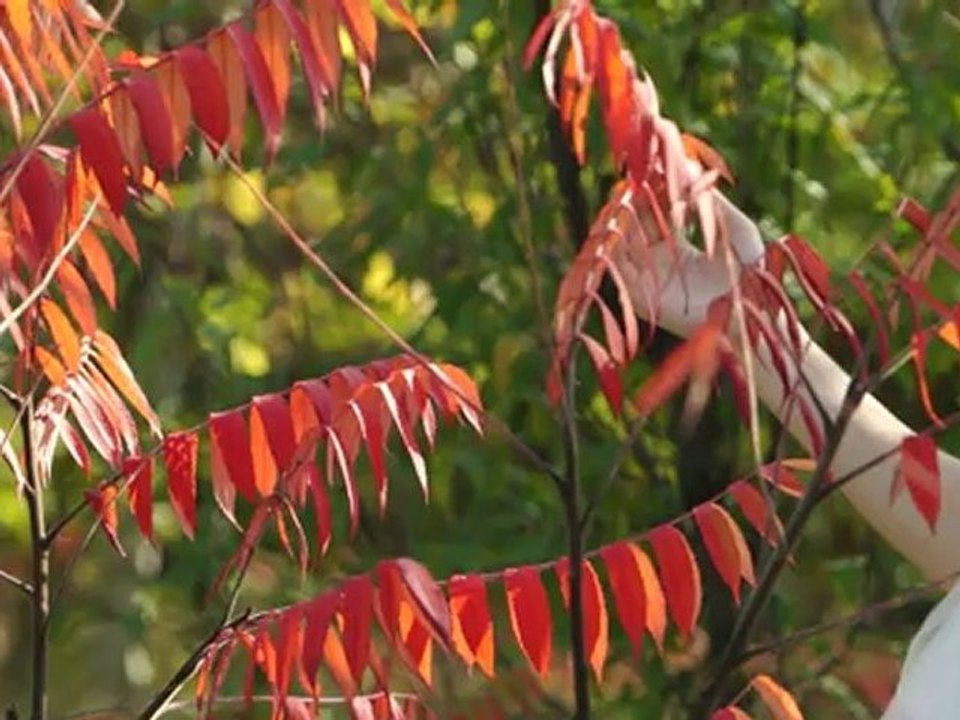 13 октября 2012