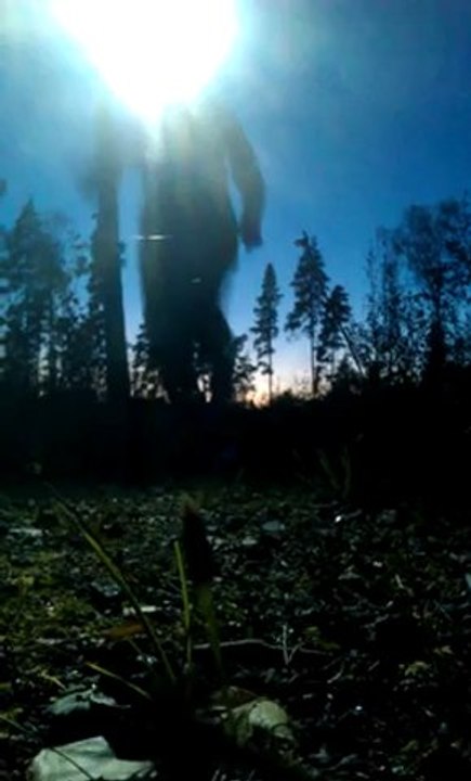 Running with Petzl NAO headlamp