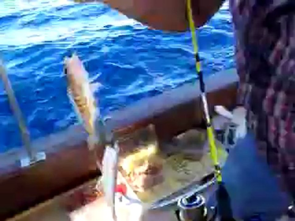 03 KASIM 2012 VİDEO (3)