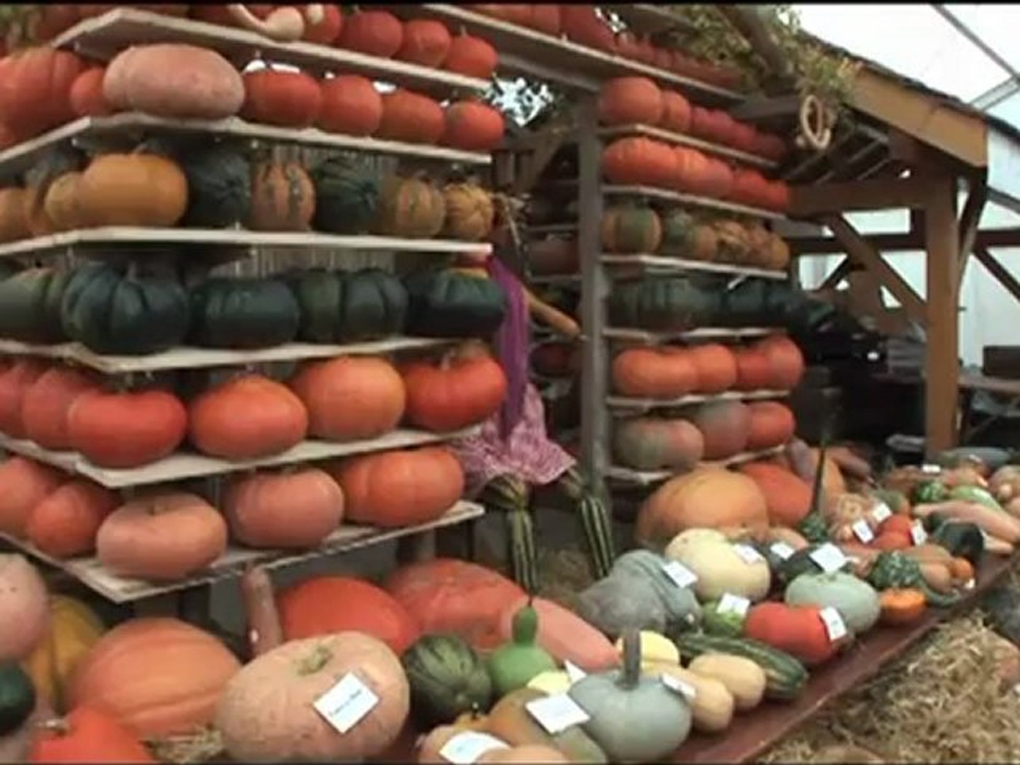 Fete De La Pomme Thorens Glieres 2022 Thorens Glières: Fête de la Pomme et de la Courge 2012. - Vidéo Dailymotion