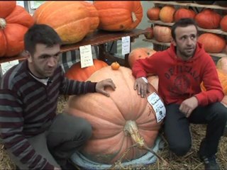 Thorens Glières: Fête de la Pomme et de la Courge 2012.