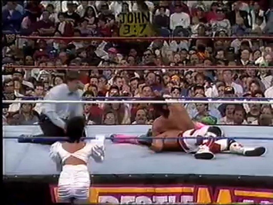 WWDELUXE-EL MAT VS SH MI