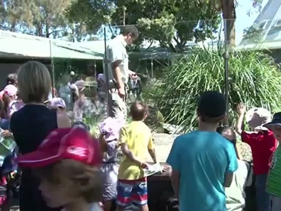 Schlangenfänger schützen vor Todesgefahr
