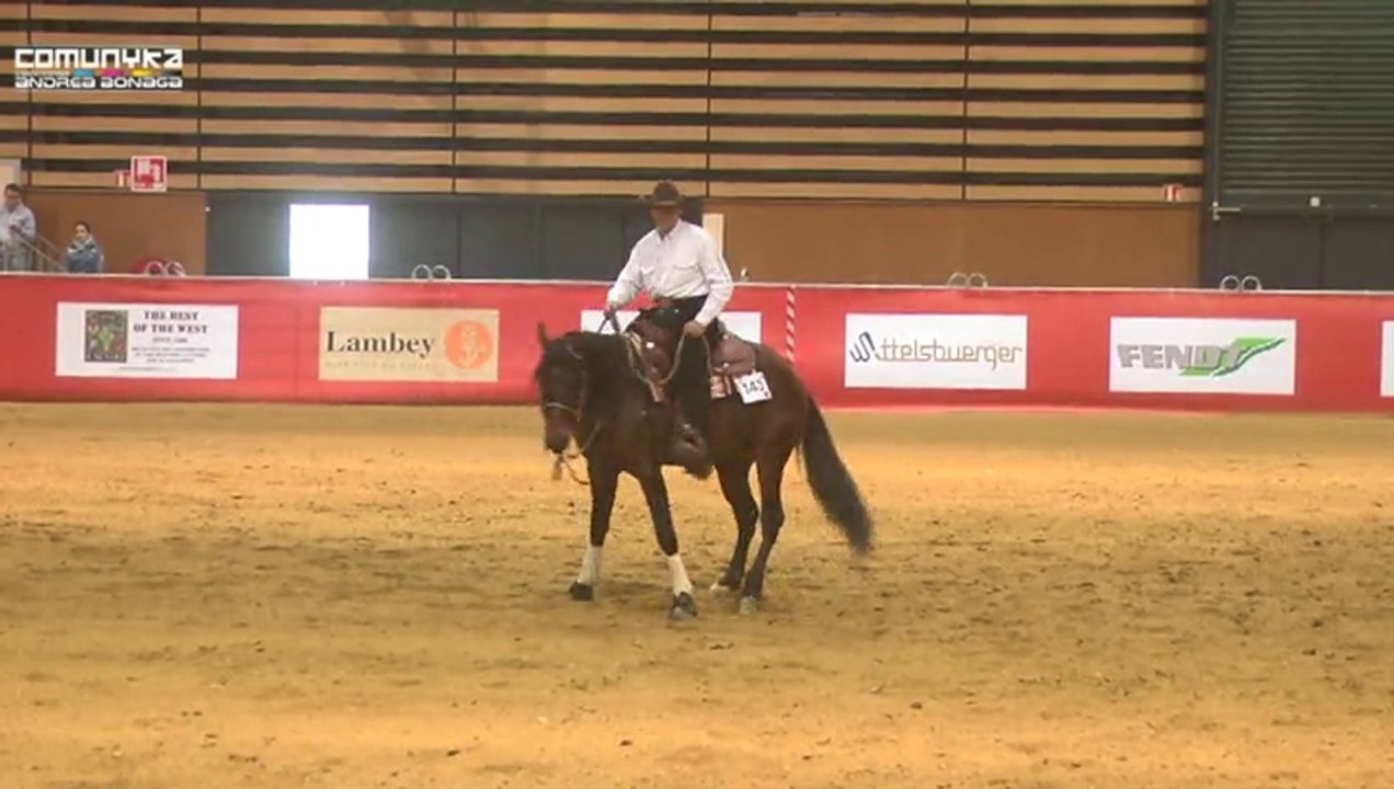 Working Cow Two Reins Equitalyon 2012