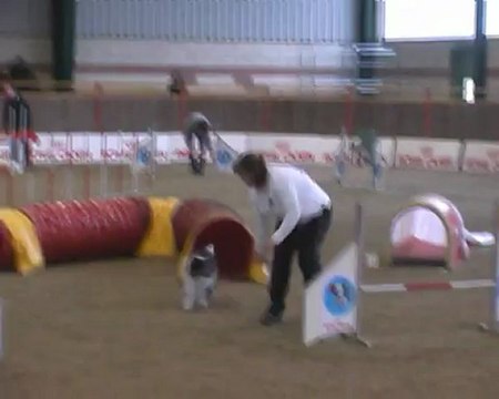 Dream-Agility-Equipe
