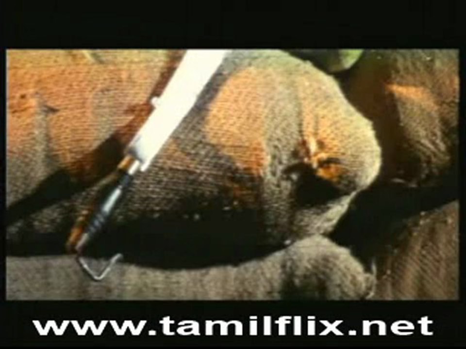 [DVD-RIP]rasamagan_0
