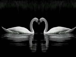 Joel Mull - Sensory (Aril Brikha Remix)