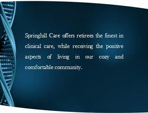 Springhill Group Florida - Home Care About us RedGage