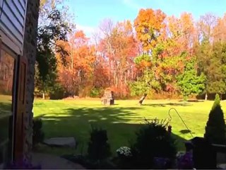 2151 Route 313, Quakertown, PA