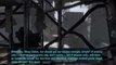 Portal 2 Playthrough Part 1: Fail so Bad You Can Barely Watch It Walkthrough?