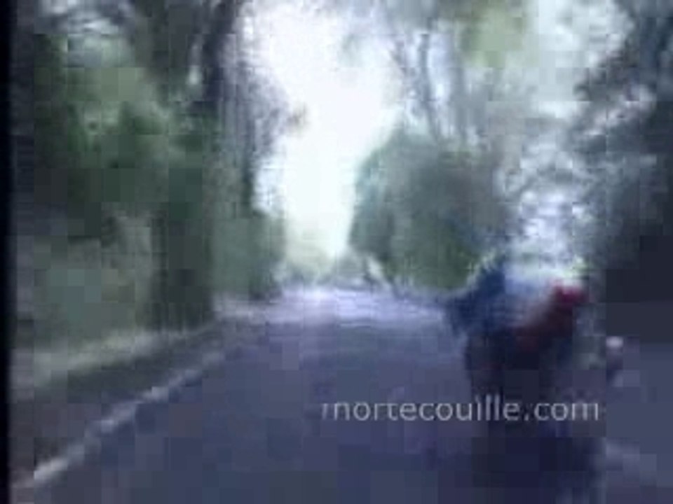 course de fou (1)